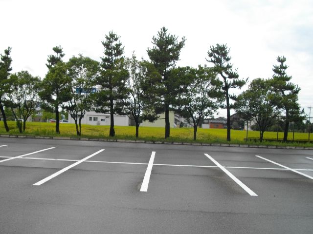 駐車場 石川県西部緑地公園テニスコート